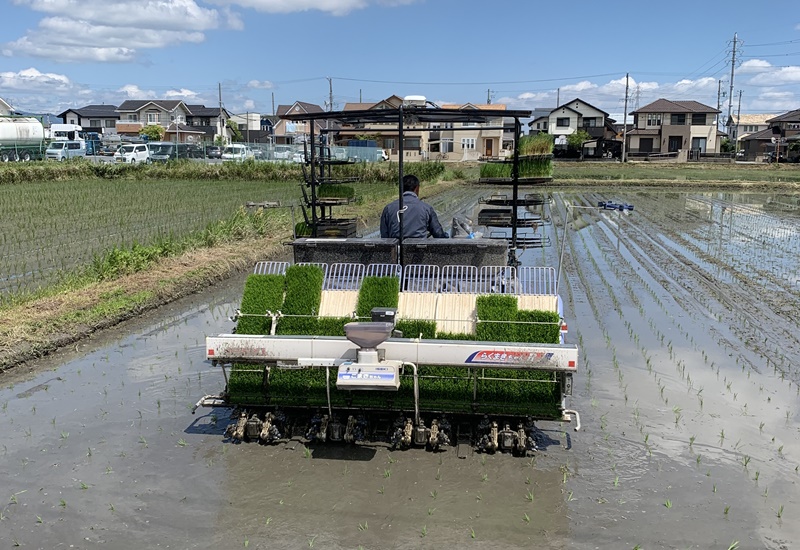 様々な農産物の栽培知識が身に付く！